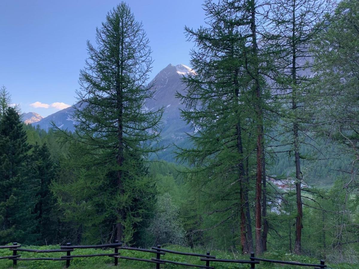 Casa Camas, Wide 2bedroom, Feel The Mountain Appartement *